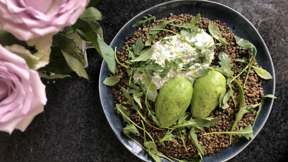 Recettes Salade Lentilles Tzatziki Avocat