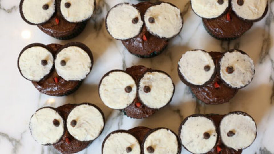 Recettes Cupcake Hiboux